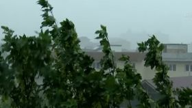 VIDEO România sub asediul iernii. Cod galben și portocaliu pentru jumătate din țară, ninsori abundente și vânt puternic